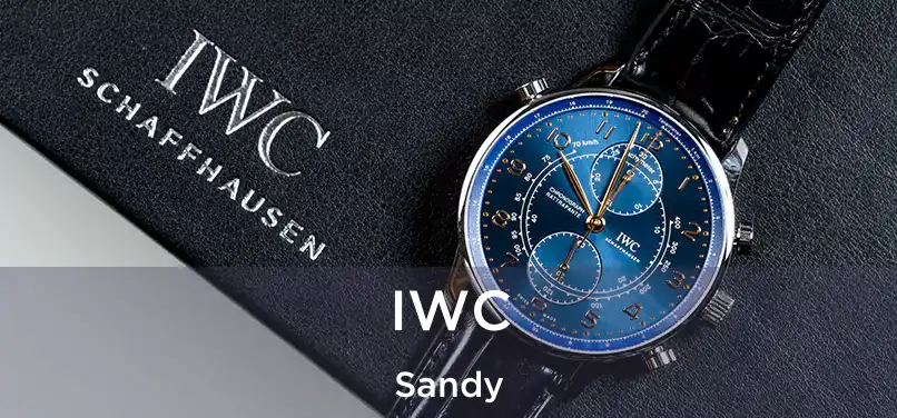  IWC Sandy