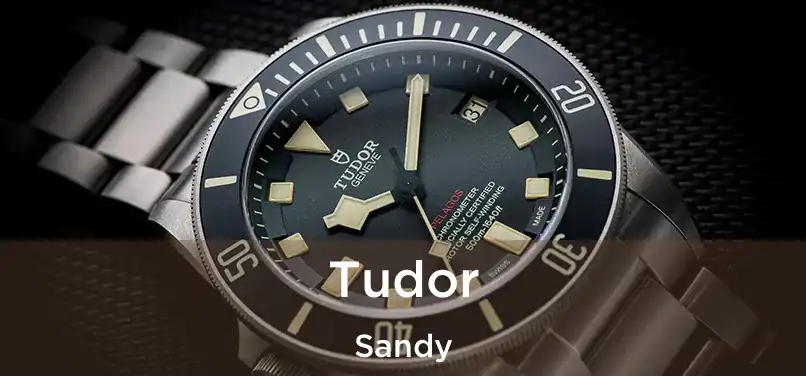  Tudor Sandy