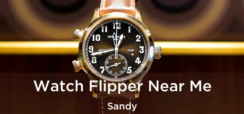  Watch Flipper Near Me Sandy
